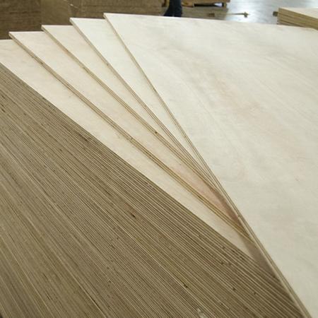 Plywood WK